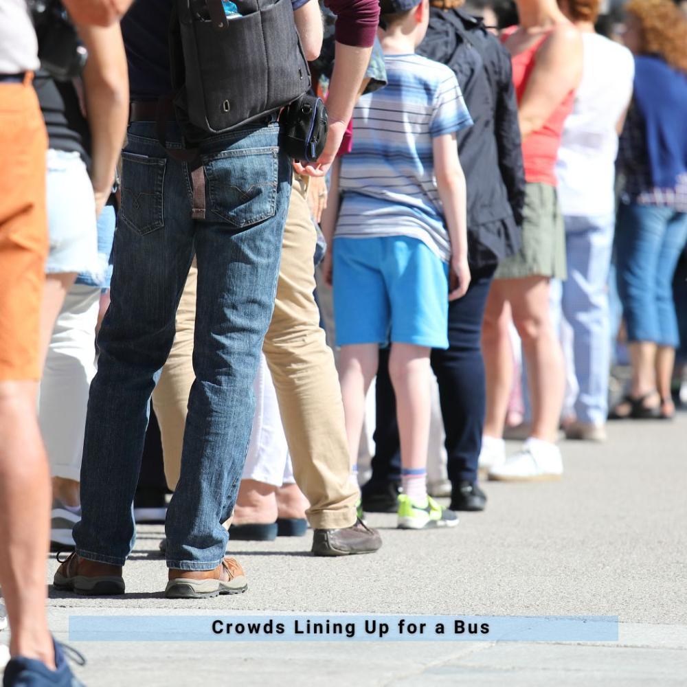 affordable incursion ideas in Brisbane & QLD