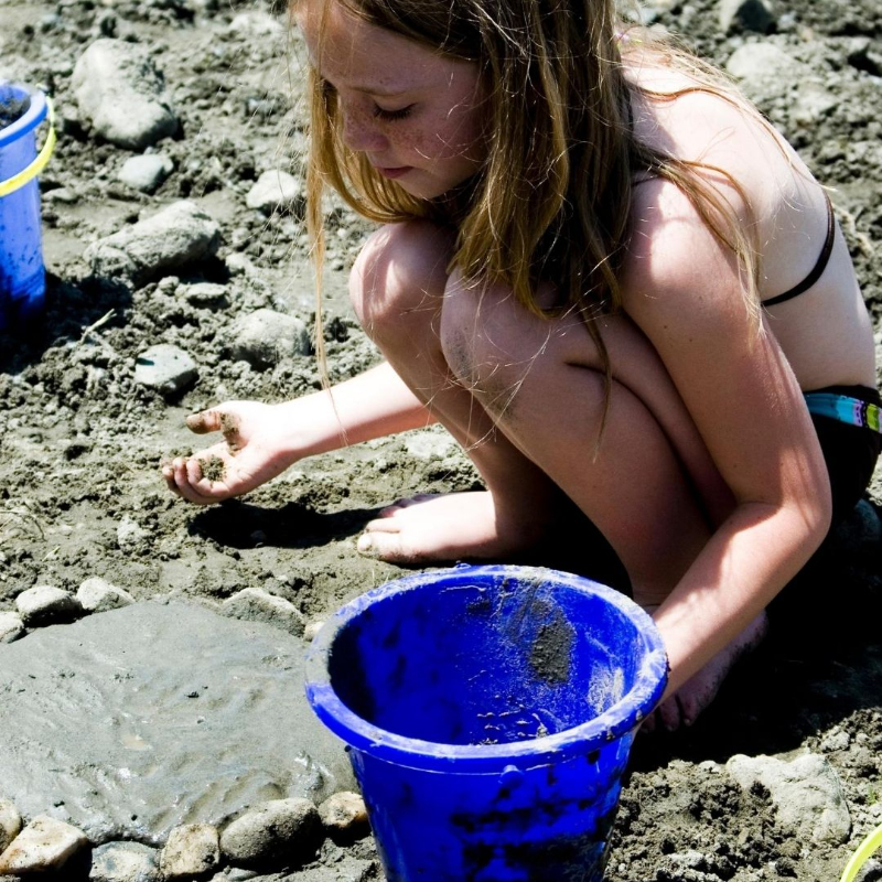 mud pies 