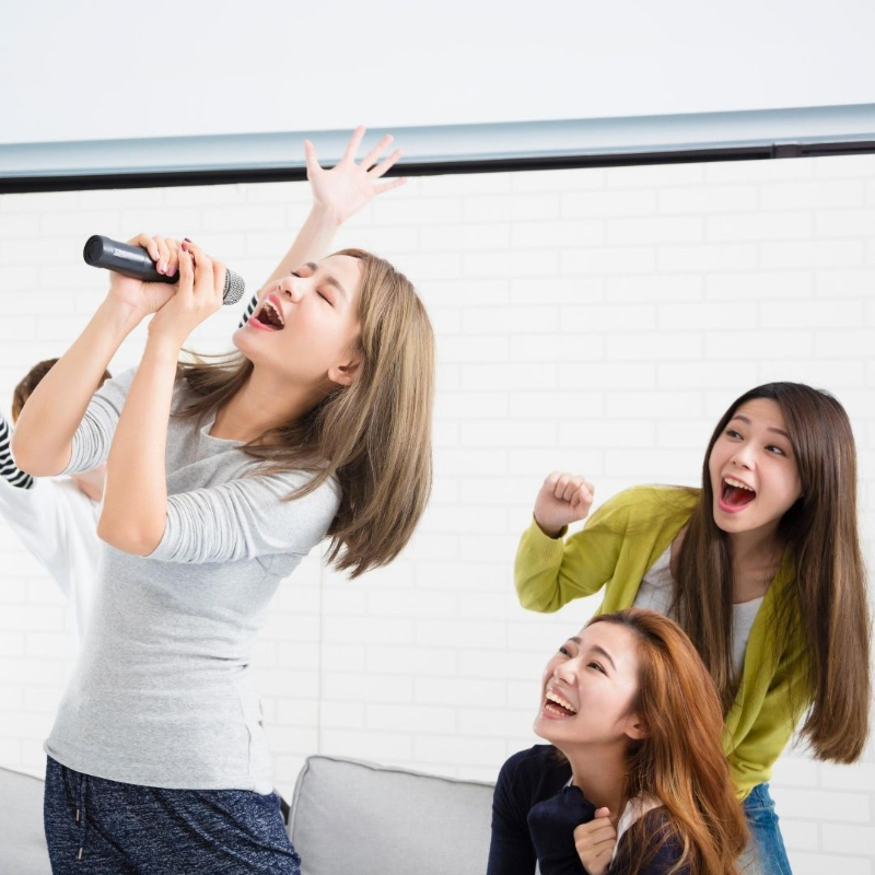 karaoke at home 