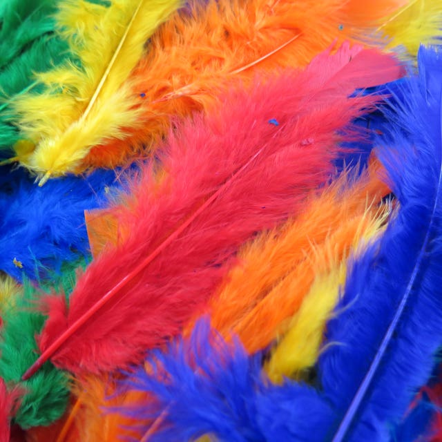 feather painting 